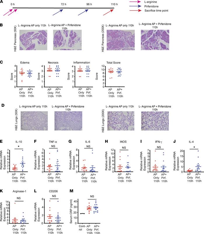 Therapeutic administration of pirfenidone increases IL-10 levels before ...
