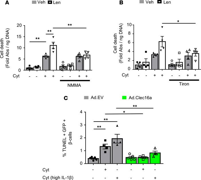 CLEC16A protects human β cells from cytokine-induced apoptosis.
(A) Cell...