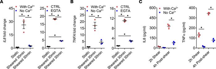 Extracellular calcium is essential for CPB-induced upregulation of IL-8 ...