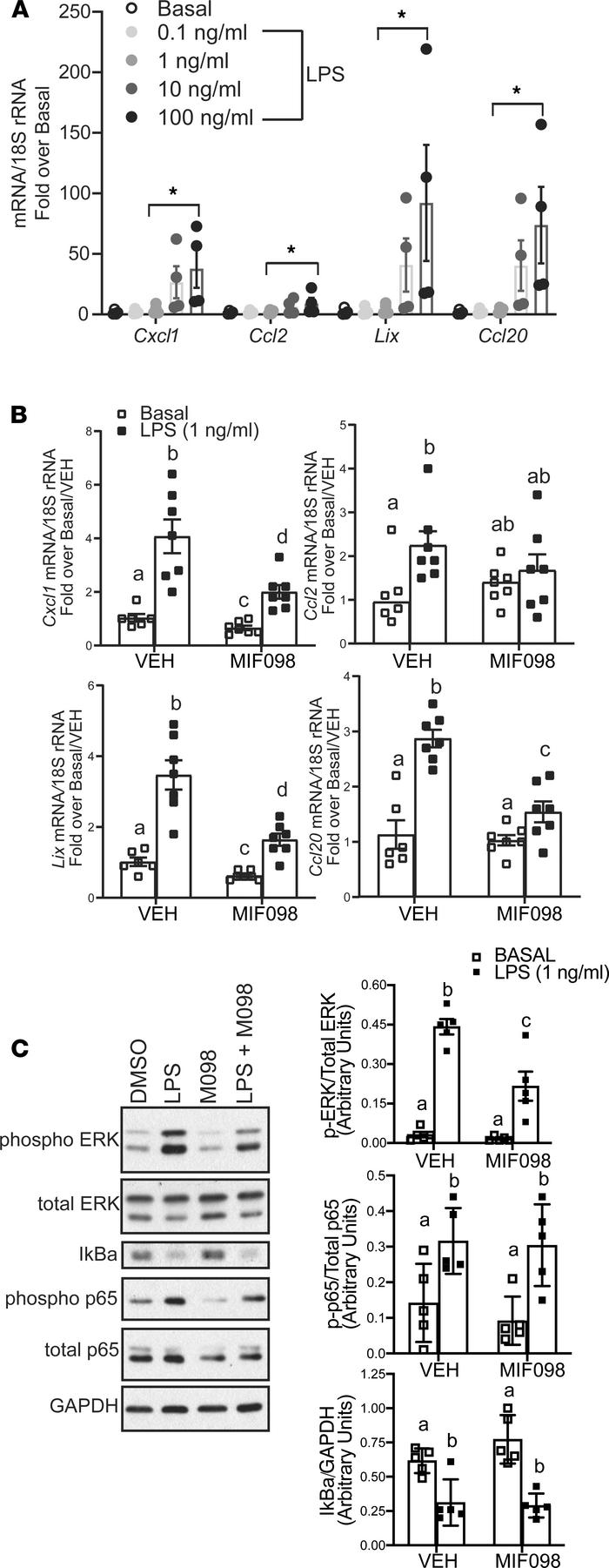 MIF is required for LPS-mediated upregulation of chemokine mRNA expressi...
