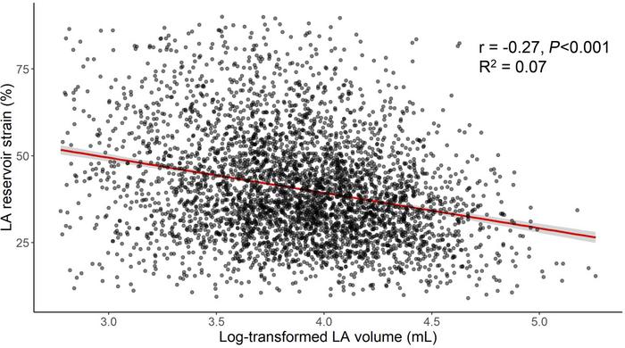 Association of LA volume and LA reservoir strain.
Shown is a linear mode...