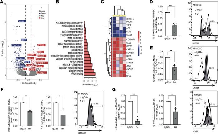 CD84 regulates functional and immunosuppressive pathways in human MM M-M...