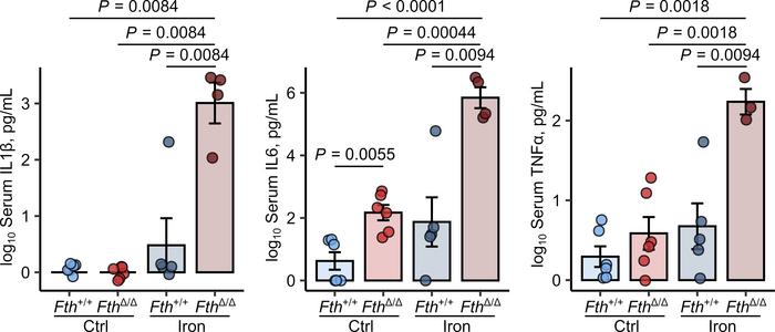 
S. Typhimurium elicits unbraked cytokine and cellular innate response i...