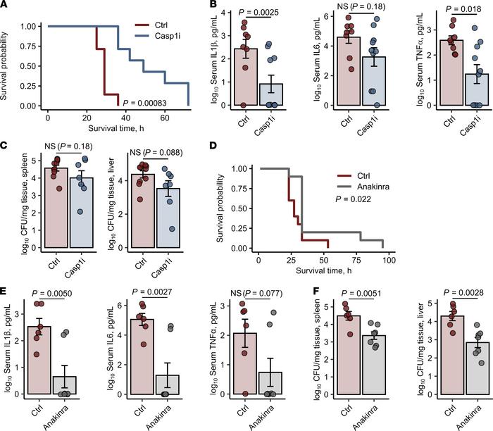 Inhibition of the inflammasome/IL-1β pathway prevents the S. Typhimurium...