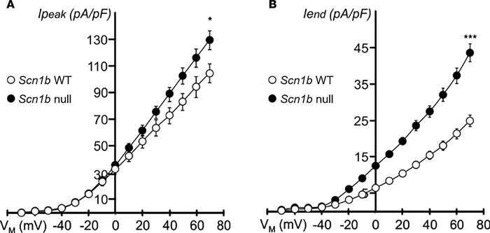 Comparison of current density and voltage dependence of inactivation of ...