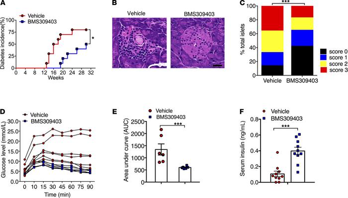 Pharmacological inhibition of FABP4 ameliorates spontaneous development ...
