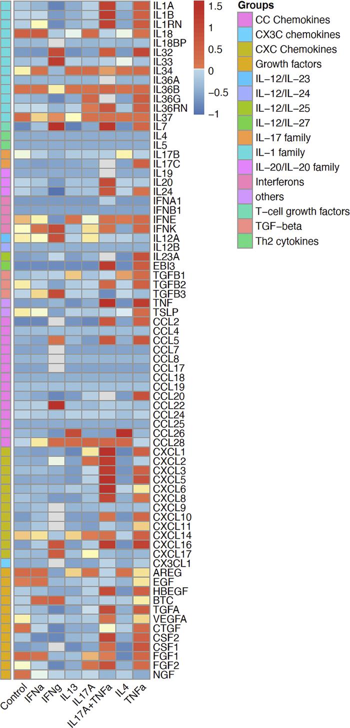 Expression of various cytokines and chemokines in keratinocytes.
The hea...