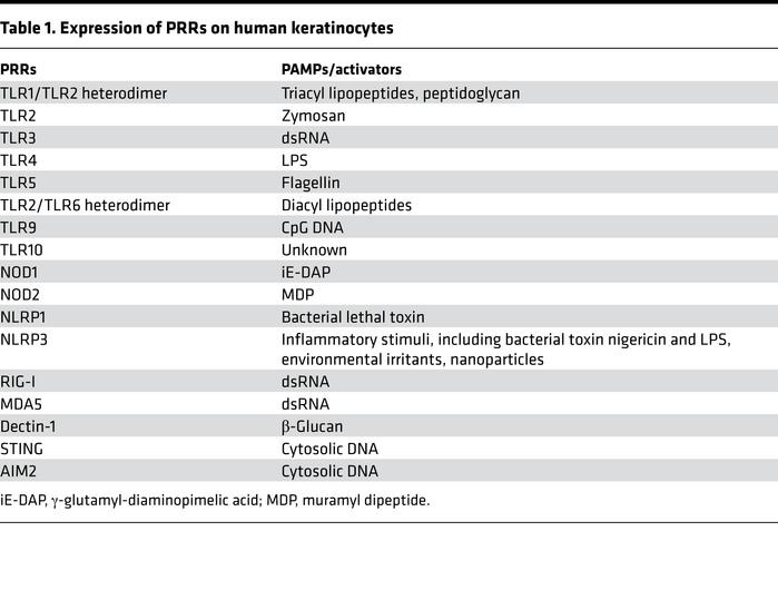 Expression of PRRs on human keratinocytes