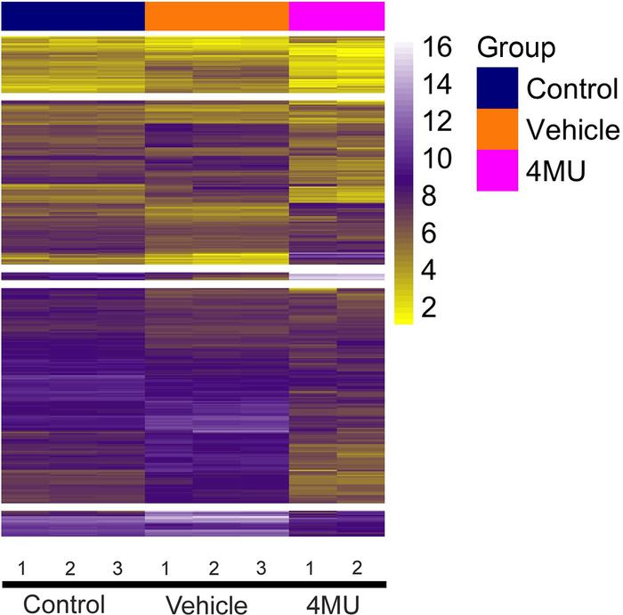 Heatmap cluster and KEGG canonical pathways.
Naive CD4+ T cells from C57...