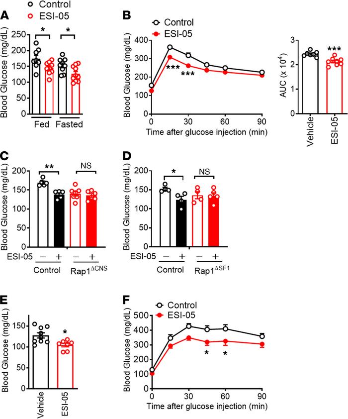 ESI-05 improves glucose homeostasis independent of leptin action.
(A and...