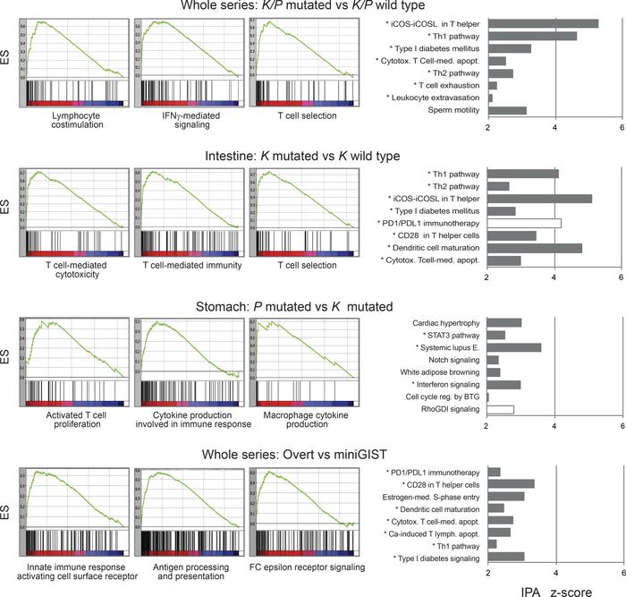 Transcriptional assessment of immune infiltration.
The tumor series (n =...