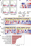 Pathways involved in poorly infiltrated GISTs.