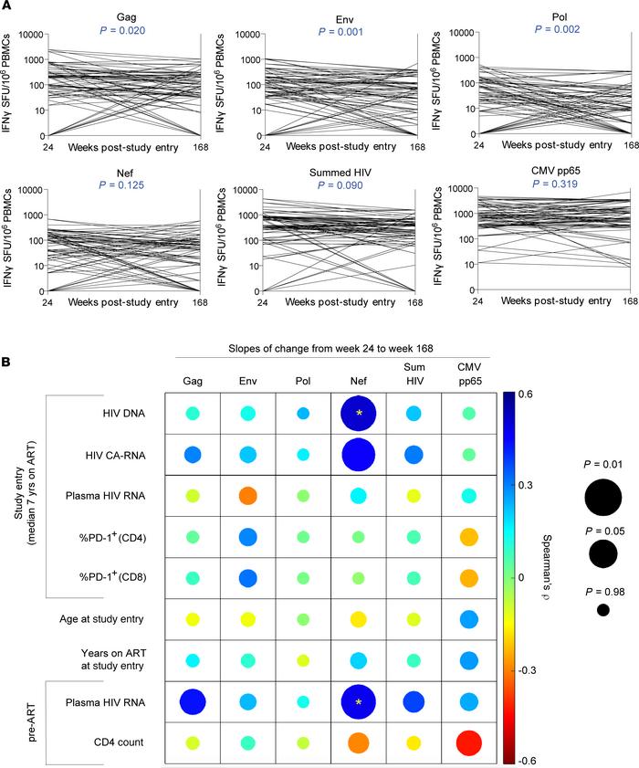 HIV-specific T cell responses are highly stable on long-term ART, with H...