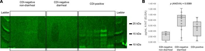 Orthogonal confirmation of selected biomarkers of CDI by antibody-based ...
