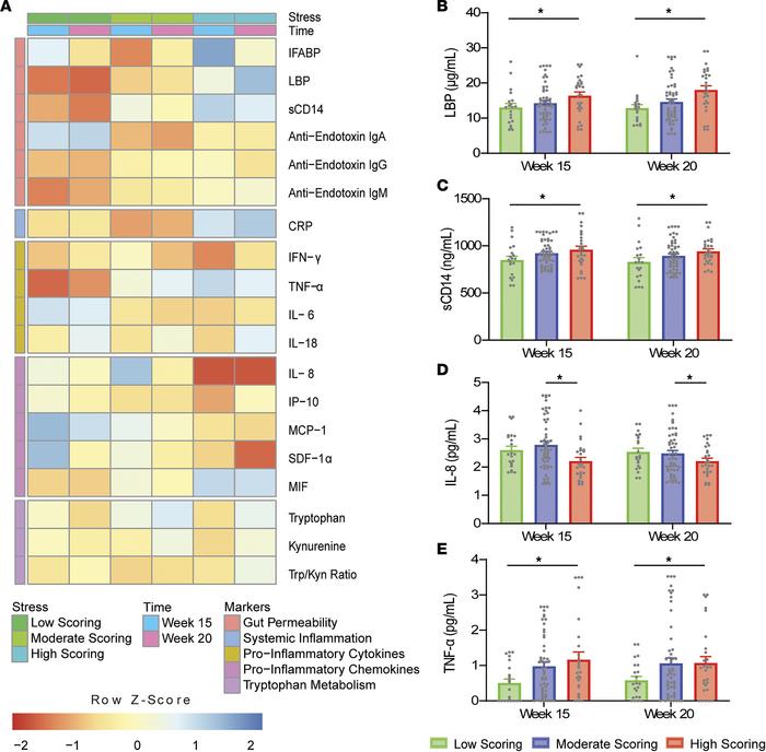 Differences in PSS-scoring groups across gestational time points in the ...