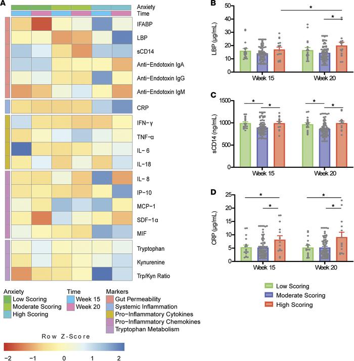 Differences in STAI-scoring groups across gestational time points in the...