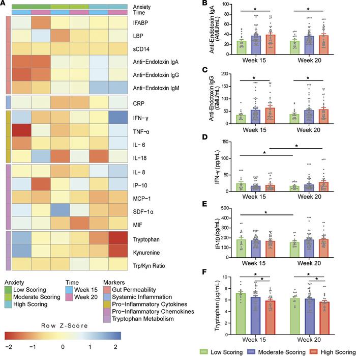 Differences in STAI-scoring groups across gestational time points in the...