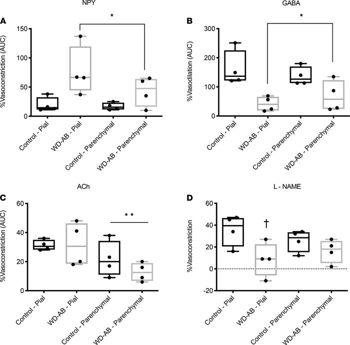 Vasomotor control.
(A) NPY-induced %vasoconstriction (AUC); (B) GABA-ind...