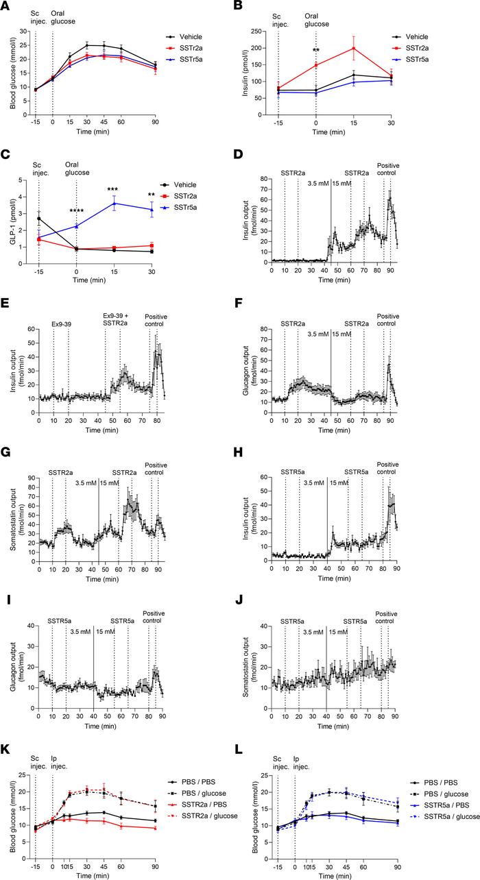 SSTR2a and SSTR5a lower blood glucose in vivo.
During hyperglycemia, in ...
