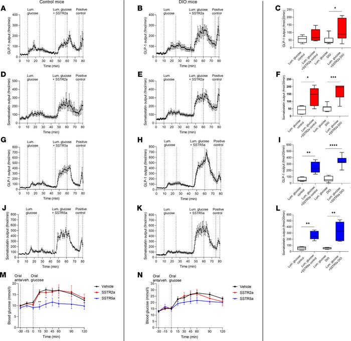 In proximal perfused intestine of DIO and control mice, SSTR5a stimulate...