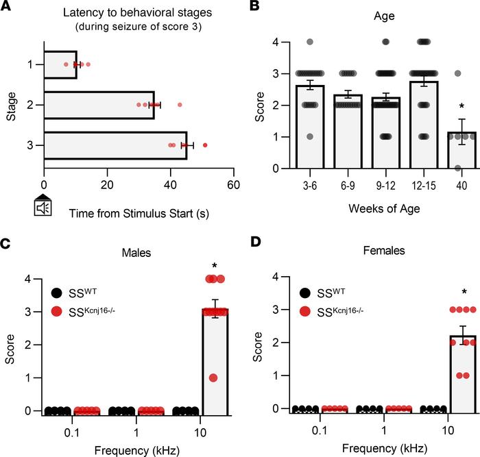 SSKcnj16–/– rats exhibit audiogenic reflex seizures.
(A) Latency from th...