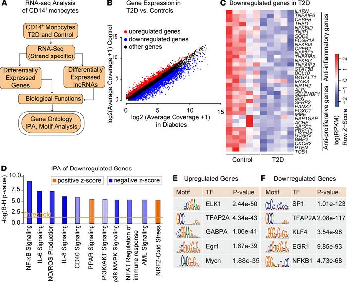 Type 2 diabetes inhibits antiinflammatory and antiproliferation genes in...