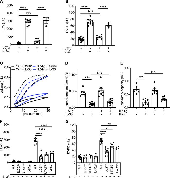 IL-33 induces IL4Rα-dependent vascular leak, resulting in pulmonary edem...