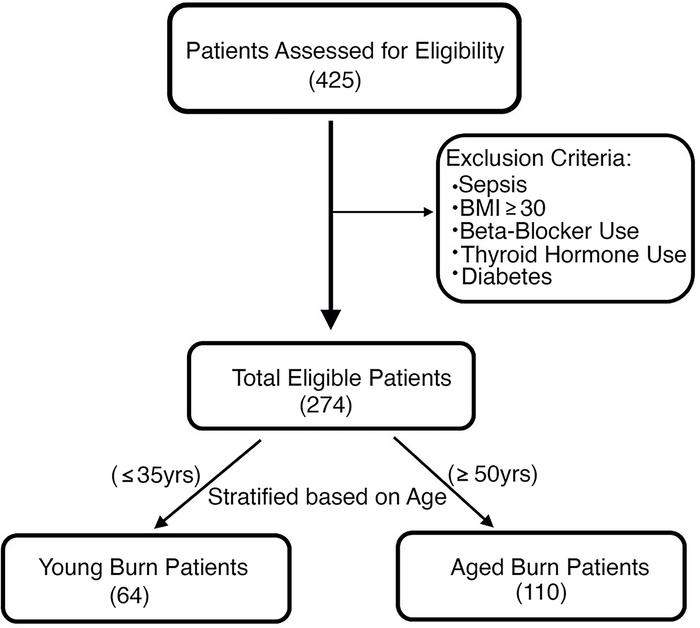 CONSORT flow diagram showing enrollment of patients and allocation.