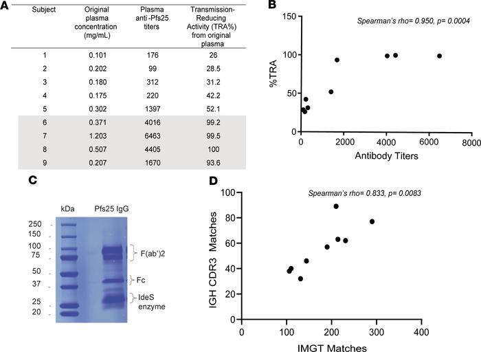 Sample selection for proteomic analysis of serum Pfs25 Abs.
(A) Serum sa...