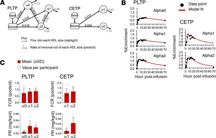 Compartmental models and kinetics parameters for PLTP and CETP in the la...