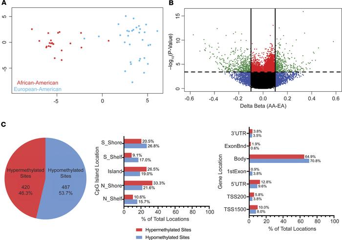Neutrophils of African American and European American lupus patients sho...