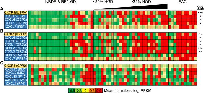 Changes in CXC family chemokine expression during progression from NDBE ...