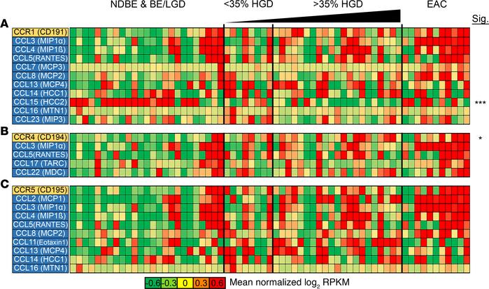 Changes in CC family chemokine expression during progression from NDBE t...