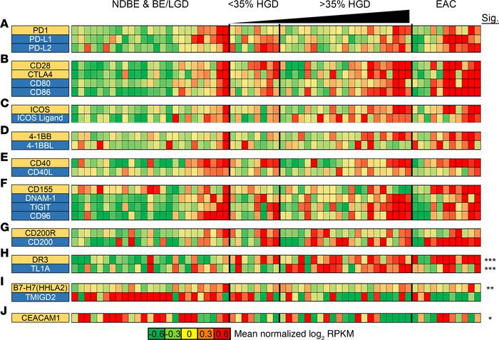 Expression changes in immune checkpoint marker genes during progression ...