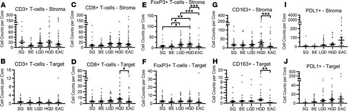 Spatial analysis of immune cell populations in EAC Progression.
(A, C, E...