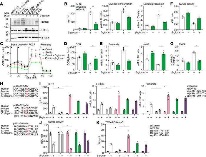 IDH3α impairs the metabolic and epigenetic changes in β-glucan–trained i...