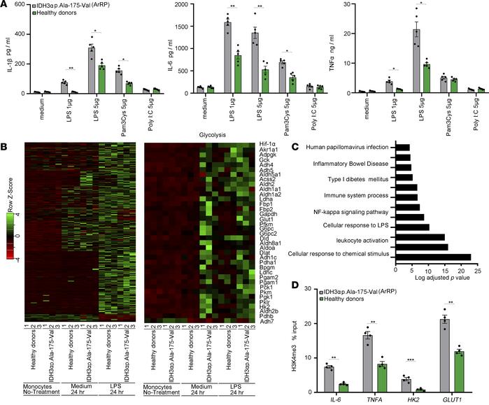 Monocytes with an IDH3α mutation (p.Ala-175-Val) from patients with auto...