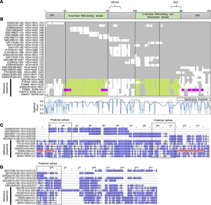 Antigenic regions and predicted antibody binding sites of the N protein....