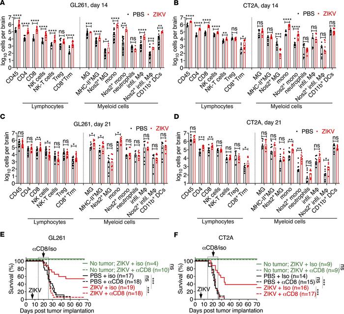 CD8+ T cells are required for ZIKV efficacy in mice bearing primary tumo...