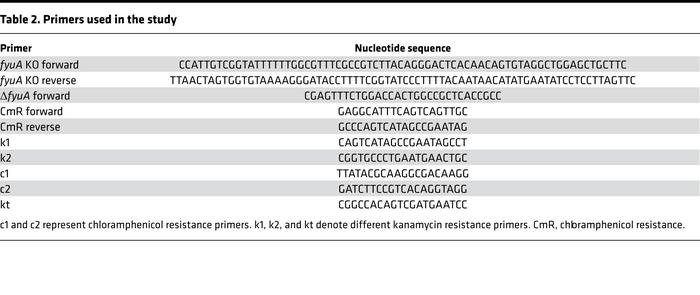 Primers used in the study