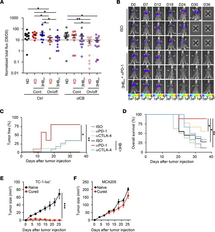 Efficacy of intermittent 3HB in circumventing primary resistance to PD-1...