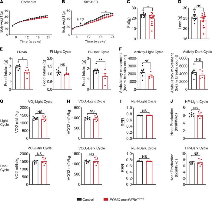 Body weight and metabolic assessment of male POMC-cre:PERKloxp/loxp mice...