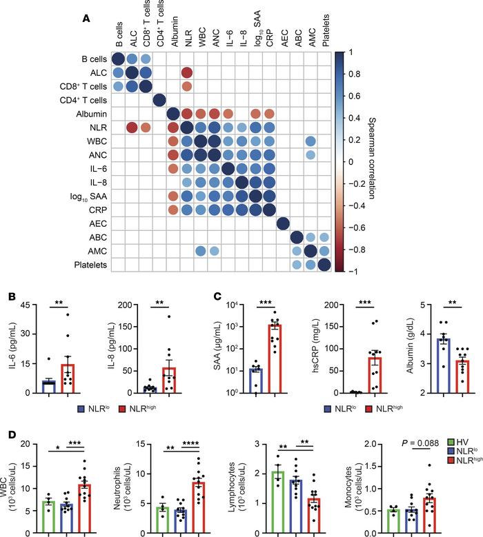 An inflammatory network is present in the blood of patients with PDA.
(A...