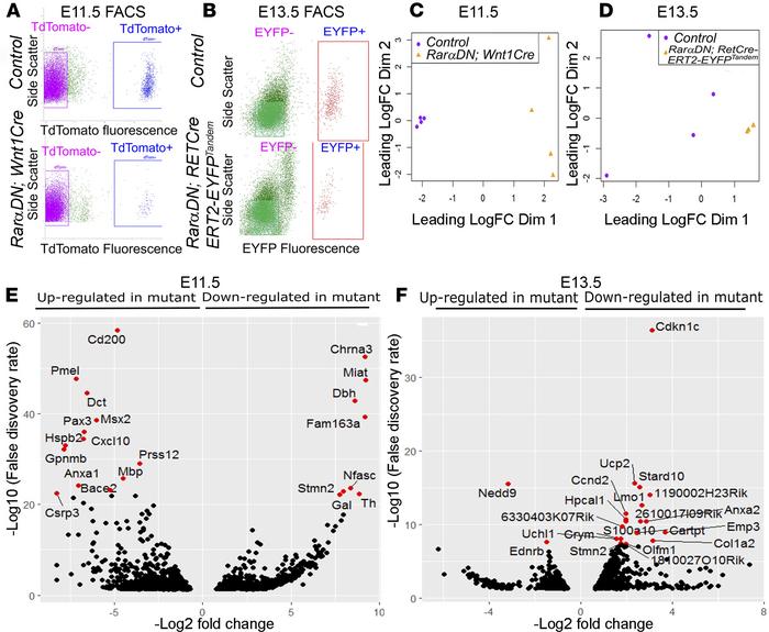 RNA-seq shows that many genes are dysregulated after RarαDN expression i...