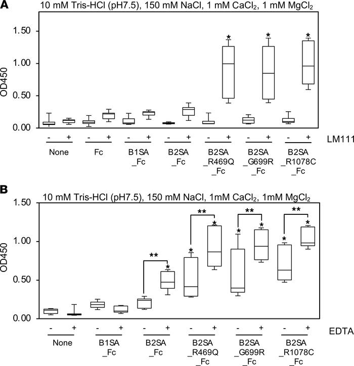 Solid phase binding assays of mutant β2 short arm to immobilized laminin...