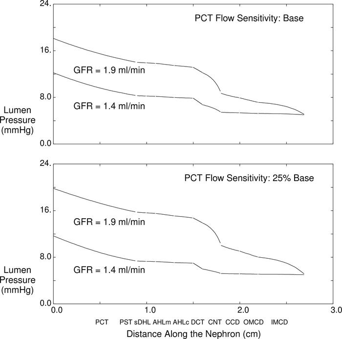 Model calculations of the impact of changes in GFR on tubule press.
The ...