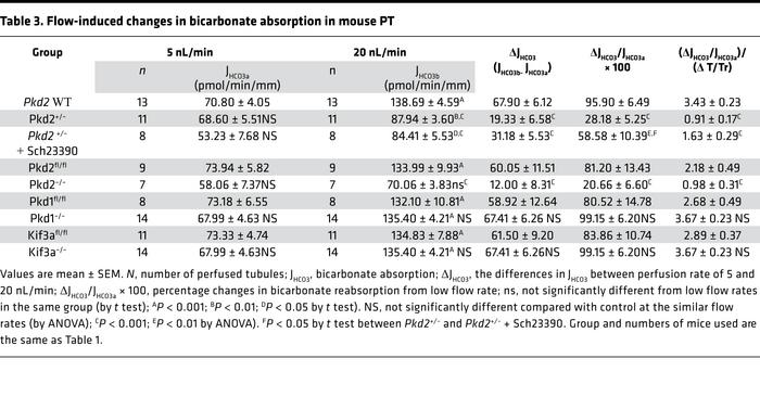 Flow-induced changes in bicarbonate absorption in mouse PT