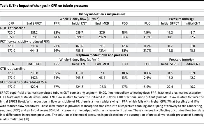 The impact of changes in GFR on tubule pressures