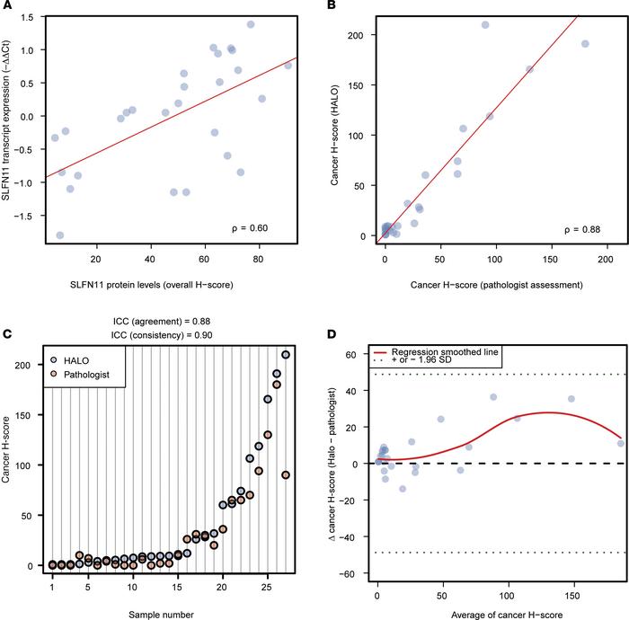 SLFN11 transcript and protein levels in HGSOC.
(A) Scatterplot represent...