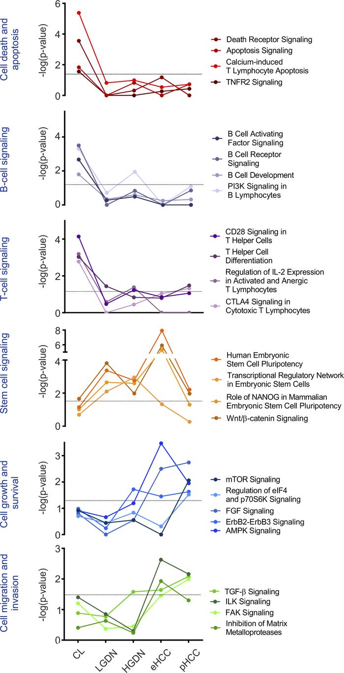 Epipathways.
Signaling pathway regulation during sequential evolution of...
